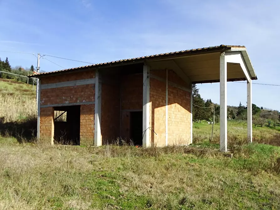 Immagine 8 di Azienda agricola in vendita  a San Miniato