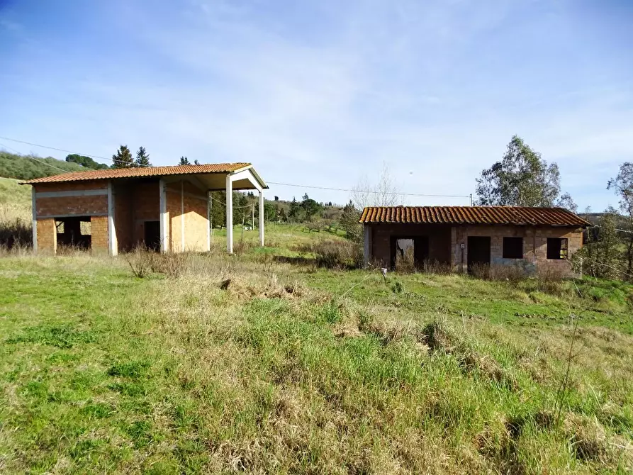 Immagine 6 di Azienda agricola in vendita  a San Miniato