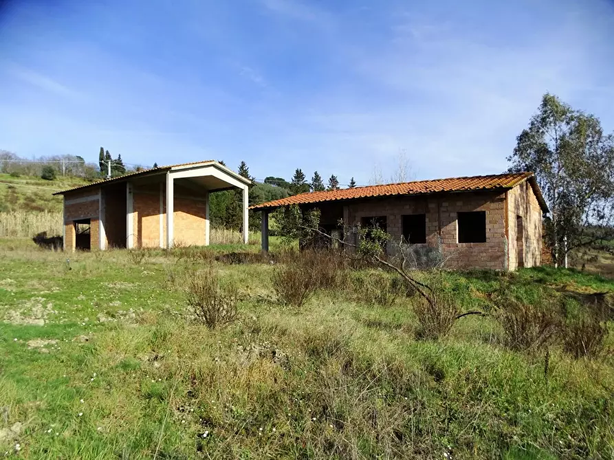 Immagine 7 di Azienda agricola in vendita  a San Miniato
