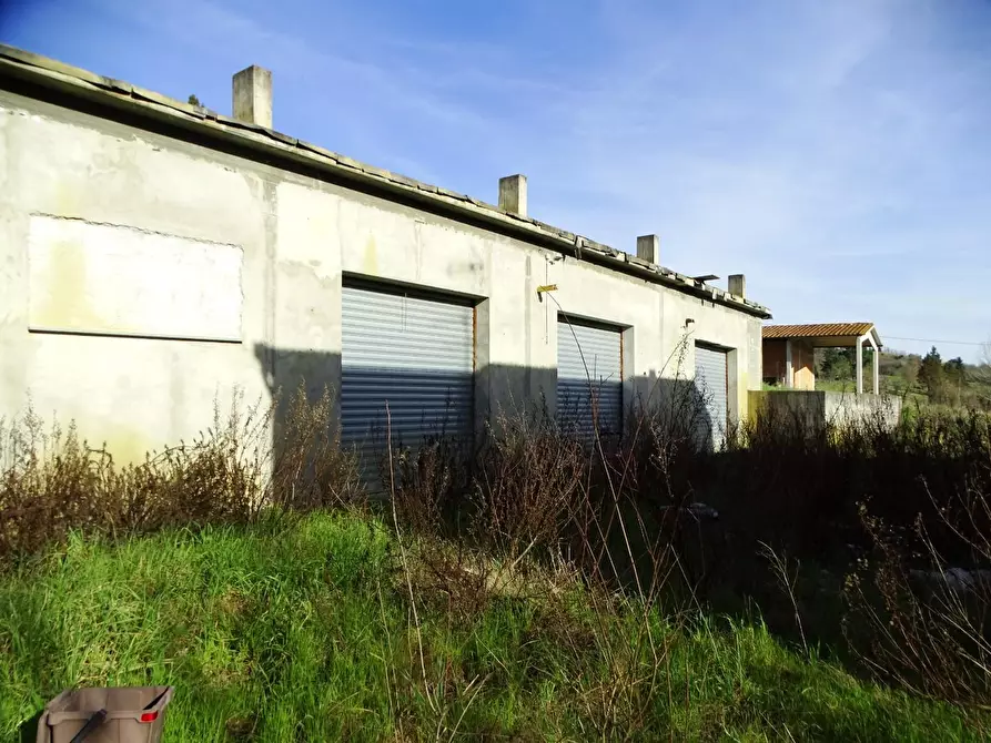 Immagine 25 di Azienda agricola in vendita  a San Miniato