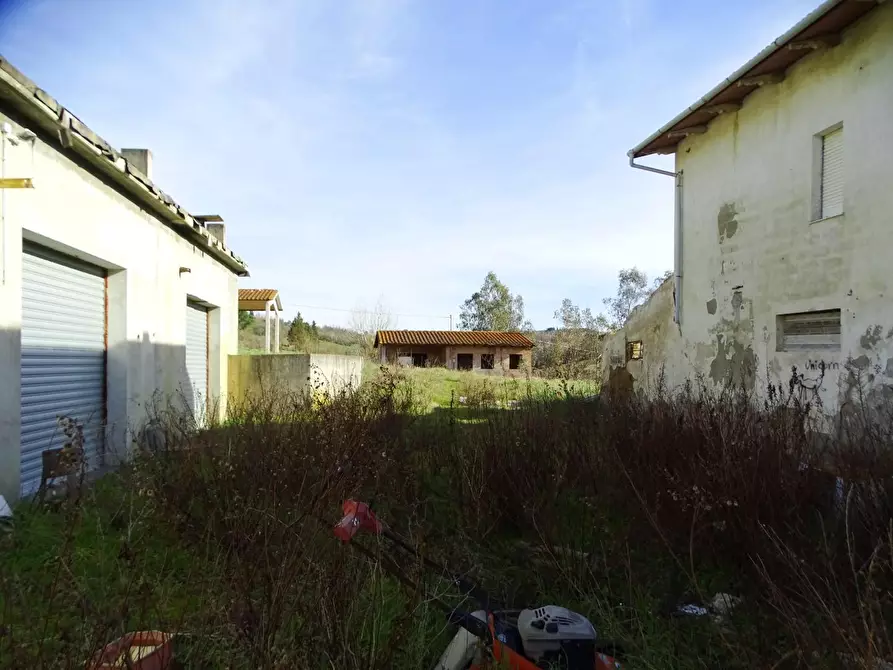 Immagine 42 di Azienda agricola in vendita  a San Miniato