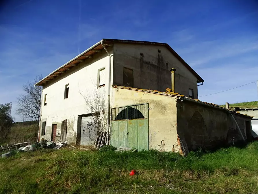 Immagine 27 di Azienda agricola in vendita  a San Miniato