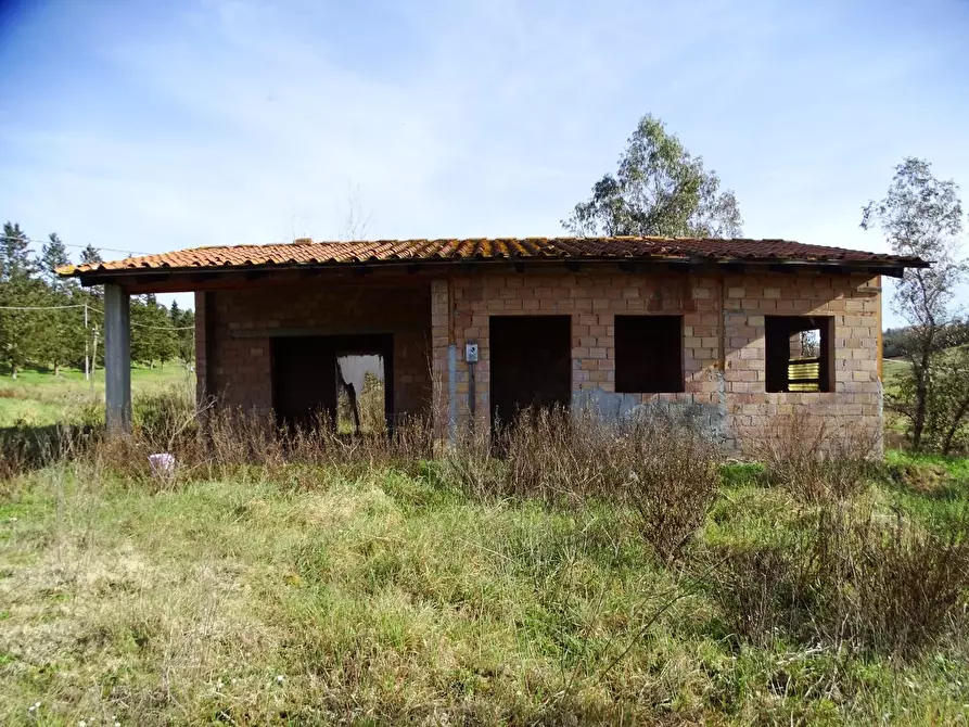 Immagine 15 di Azienda agricola in vendita  a San Miniato