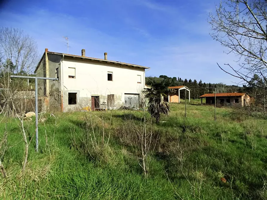 Immagine 5 di Azienda agricola in vendita  a San Miniato