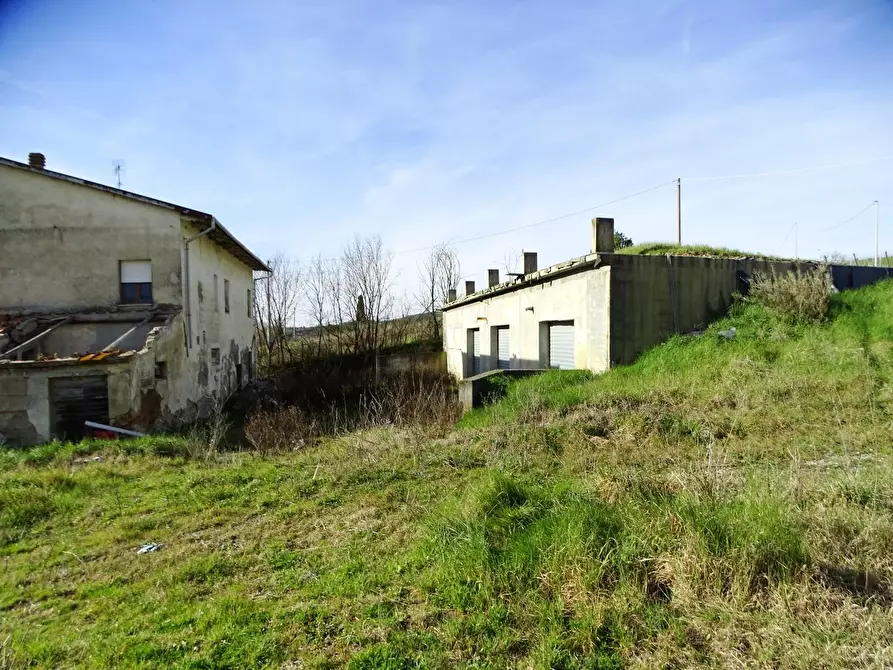 Immagine 20 di Azienda agricola in vendita  a San Miniato