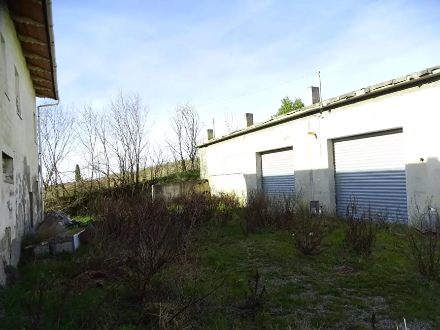 Immagine 22 di Azienda agricola in vendita  a San Miniato