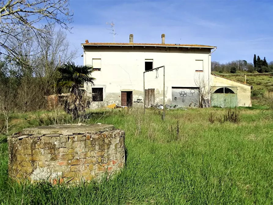 Immagine 18 di Azienda agricola in vendita  a San Miniato