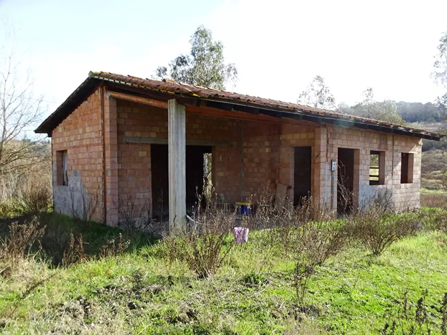 Immagine 14 di Azienda agricola in vendita  a San Miniato
