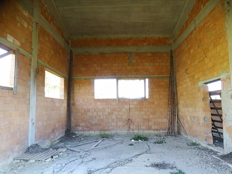 Immagine 10 di Azienda agricola in vendita  a San Miniato