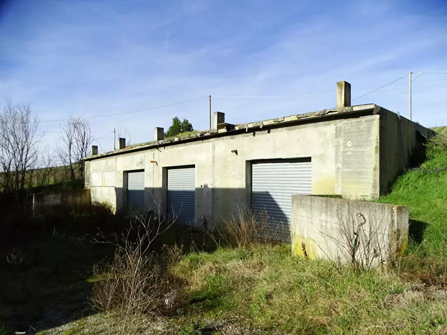 Immagine 23 di Azienda agricola in vendita  a San Miniato