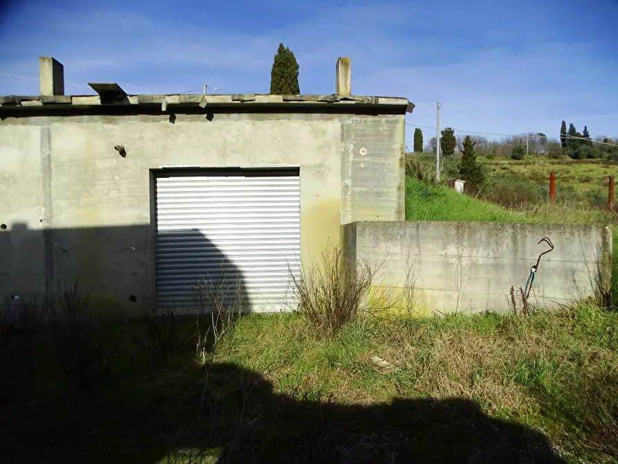 Immagine 24 di Azienda agricola in vendita  a San Miniato