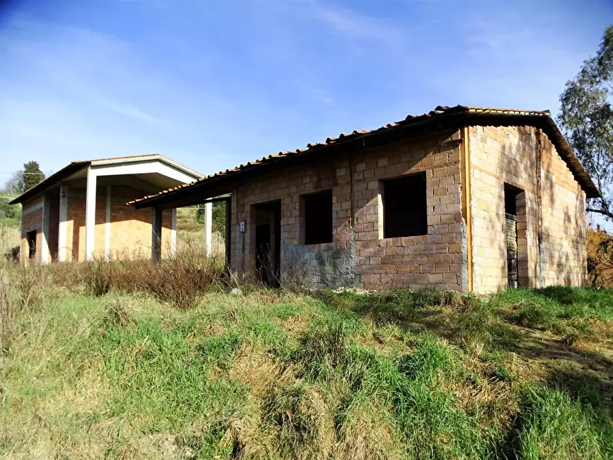 Immagine 13 di Azienda agricola in vendita  a San Miniato