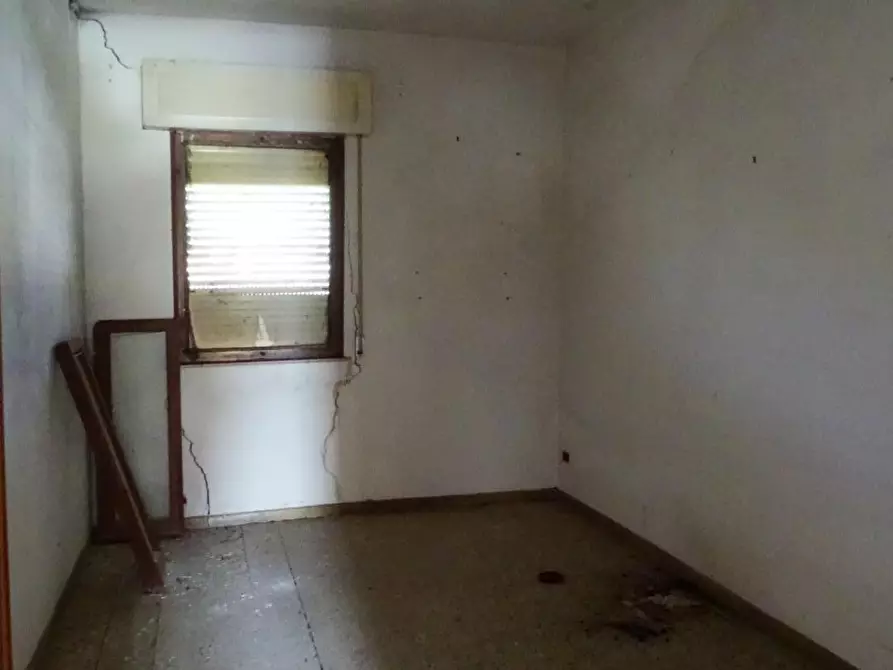 Immagine 32 di Azienda agricola in vendita  a San Miniato