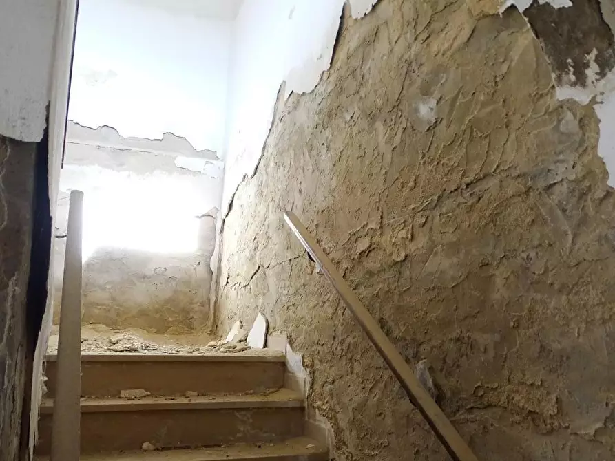 Immagine 31 di Azienda agricola in vendita  a San Miniato