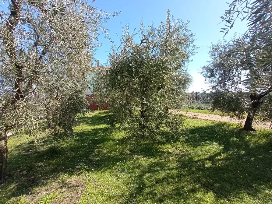 Immagine 7 di Casa indipendente in vendita  a Montopoli In Val D'arno