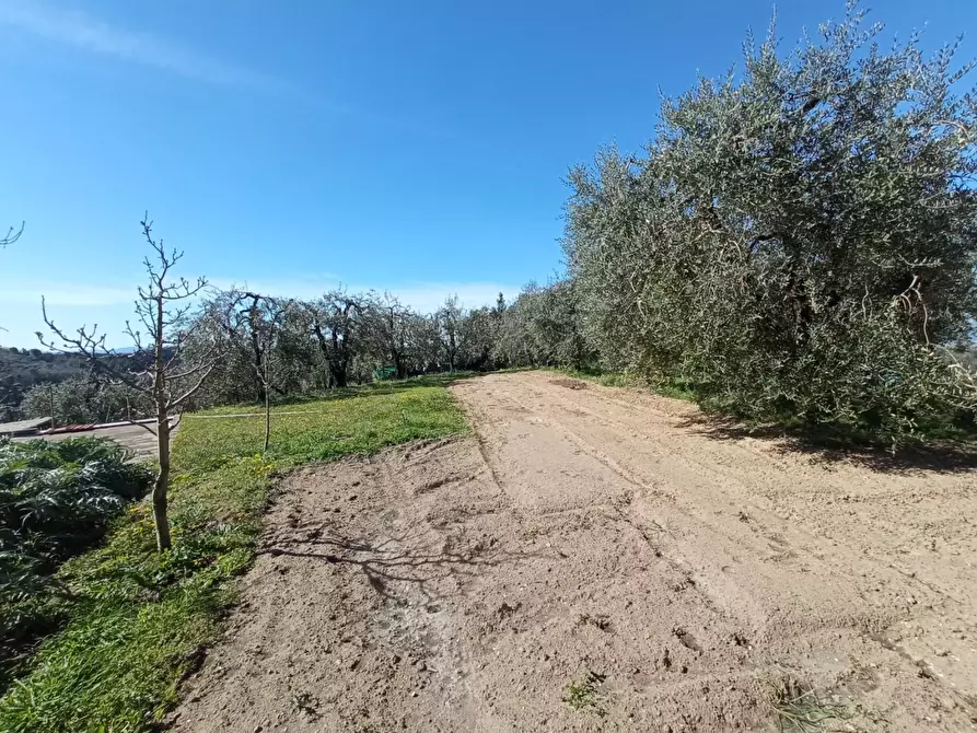 Immagine 6 di Casa indipendente in vendita  a Montopoli In Val D'arno