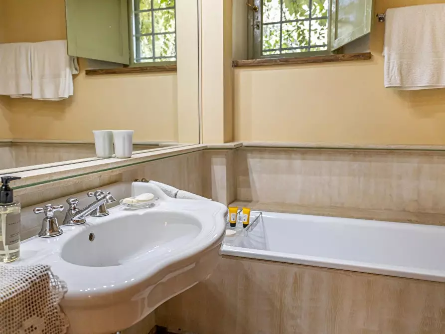 Immagine 18 di Villa in affitto  a Vecchiano