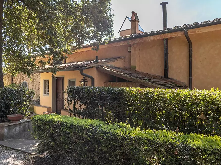 Immagine 2 di Villa in affitto  a Vecchiano