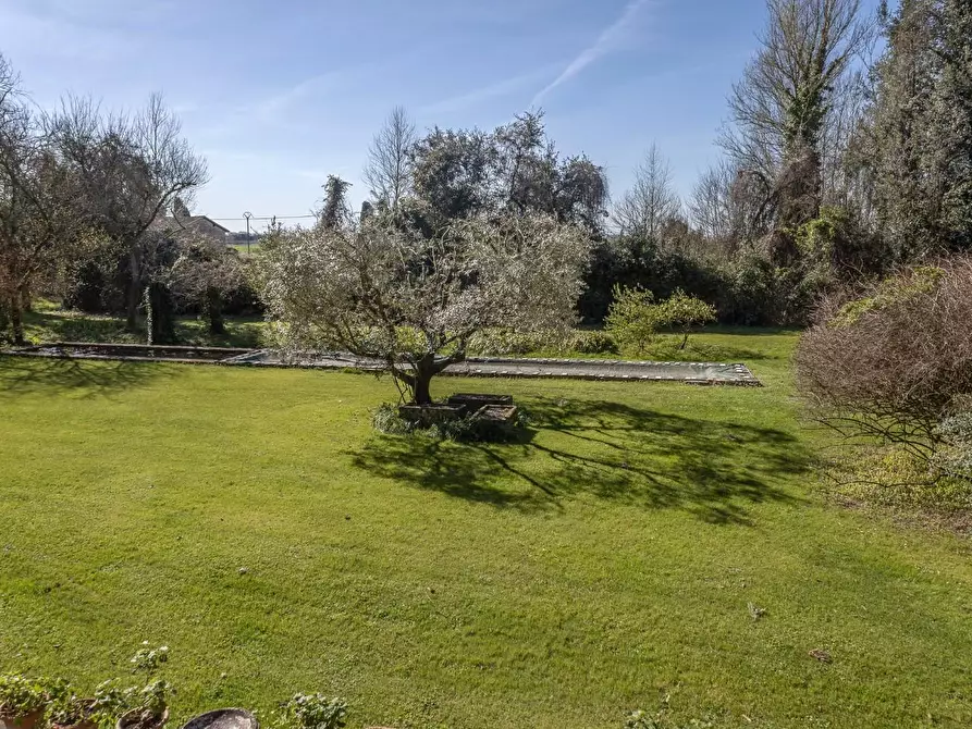 Immagine 4 di Villa in affitto  a Vecchiano