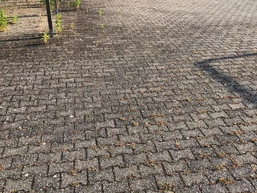 Immagine 16 di Attività artigianale in affitto  a Massa