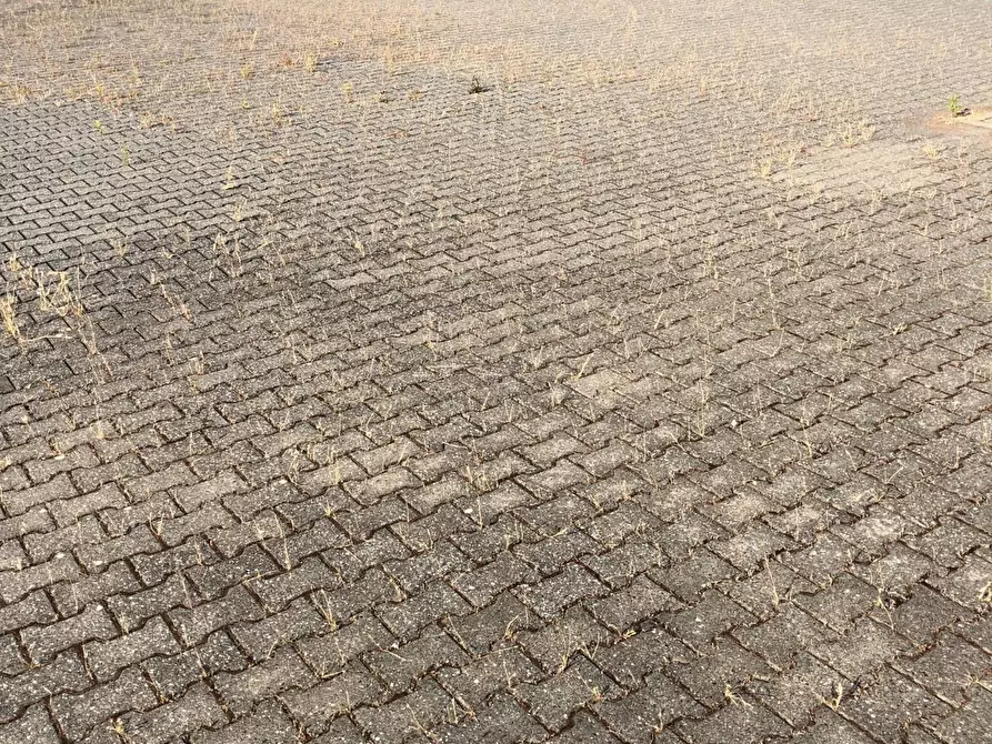 Immagine 14 di Attività artigianale in affitto  a Massa