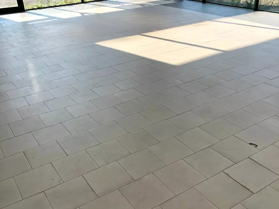 Immagine 6 di Attività artigianale in affitto  a Massa