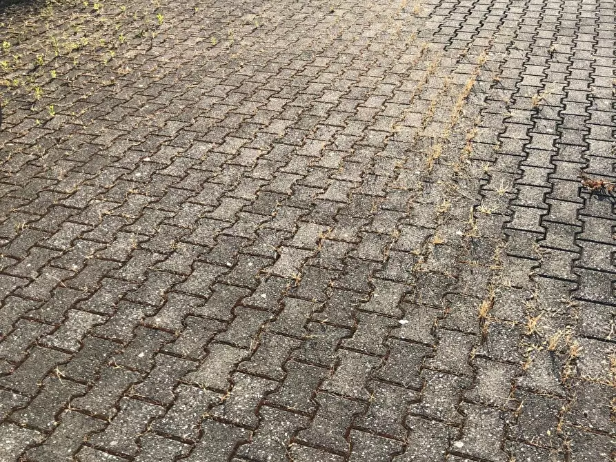 Immagine 15 di Attività artigianale in affitto  a Massa