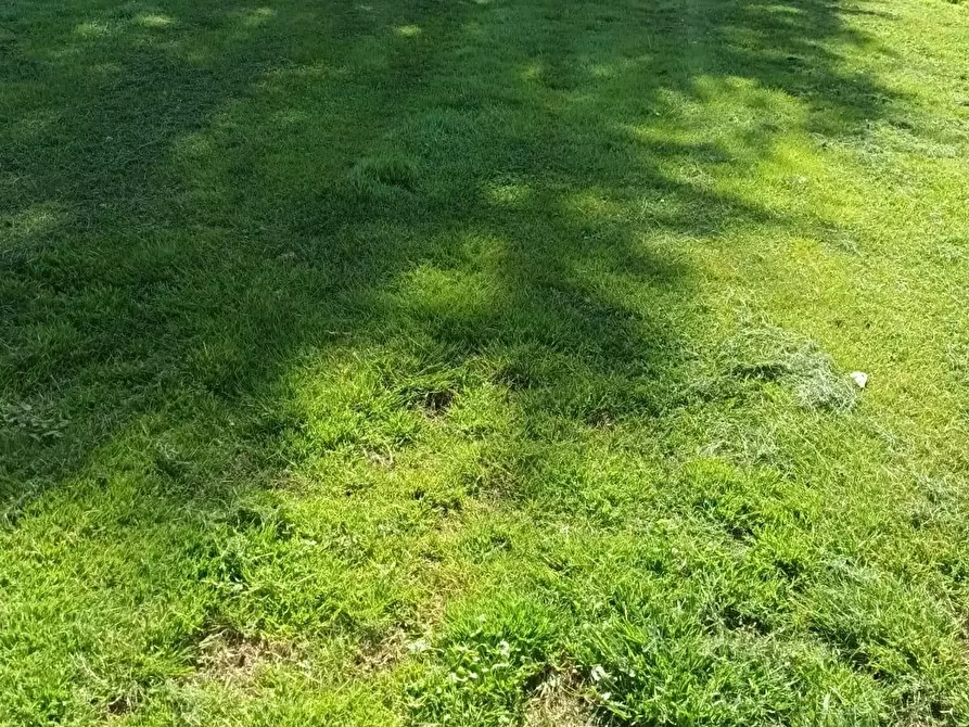 Immagine 35 di Terratetto in vendita  a Capannori