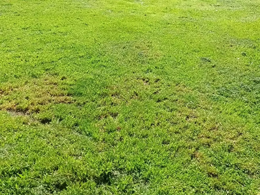 Immagine 36 di Terratetto in vendita  a Capannori