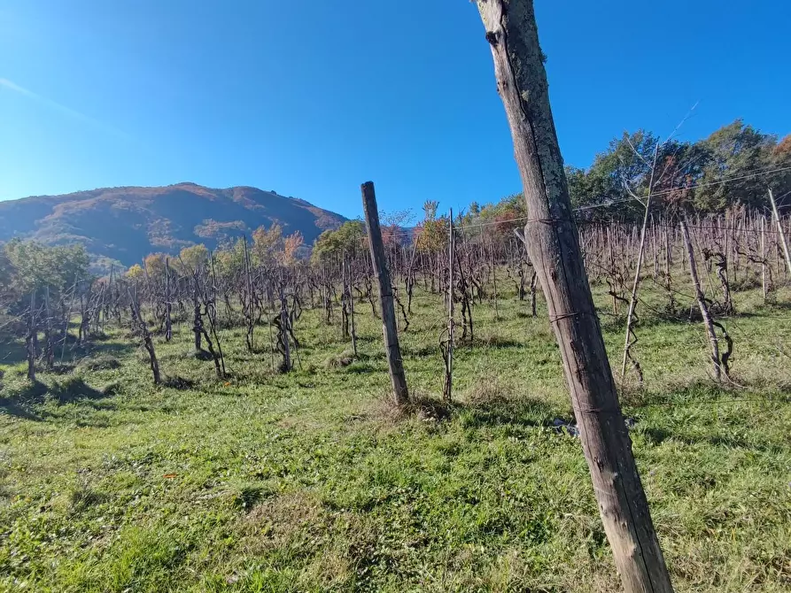 Immagine 20 di Azienda agricola in vendita  a Pontremoli