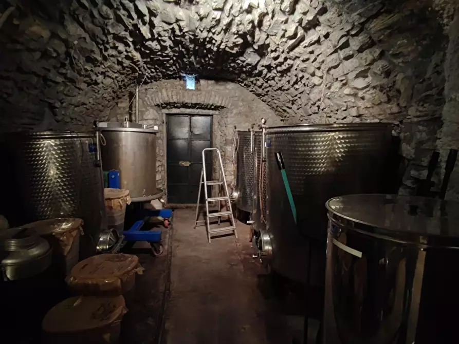 Immagine 25 di Azienda agricola in vendita  a Pontremoli