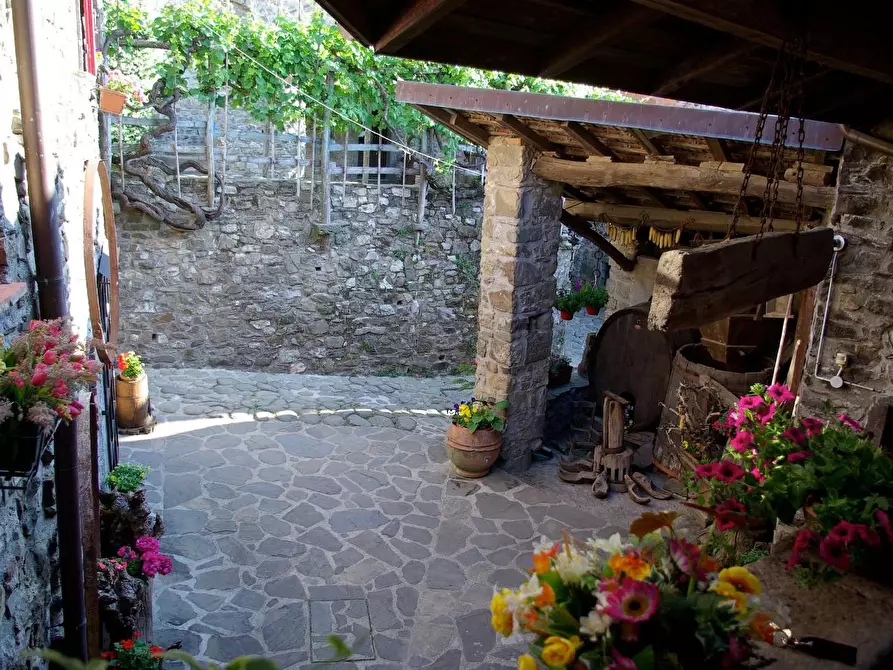 Immagine 6 di Azienda agricola in vendita  a Pontremoli