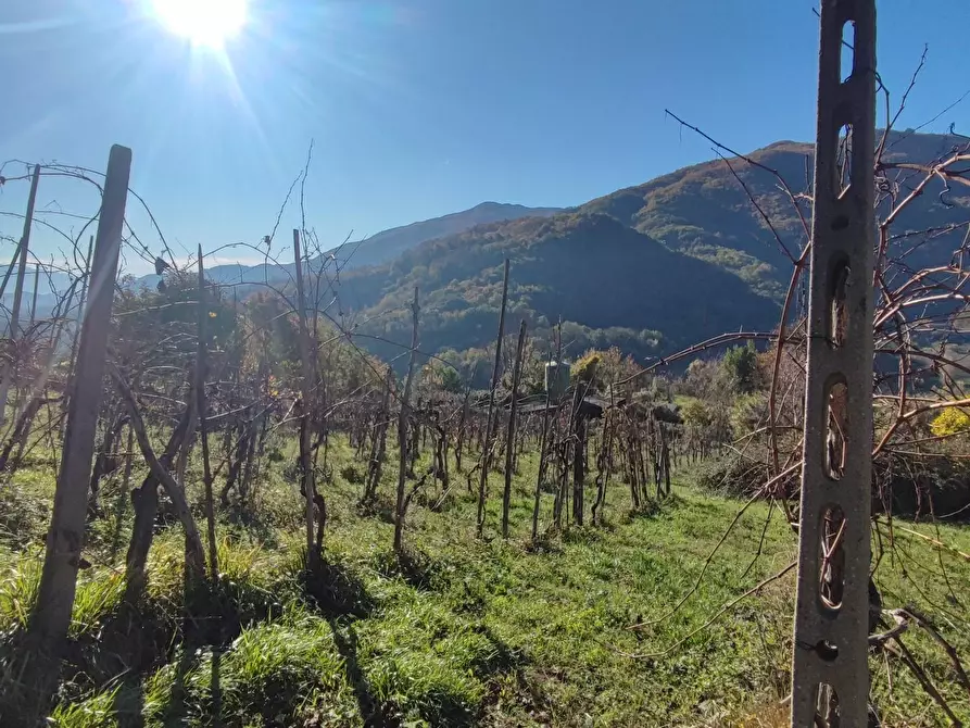 Immagine 16 di Azienda agricola in vendita  a Pontremoli