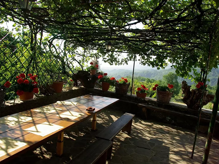 Immagine 75 di Azienda agricola in vendita  a Pontremoli