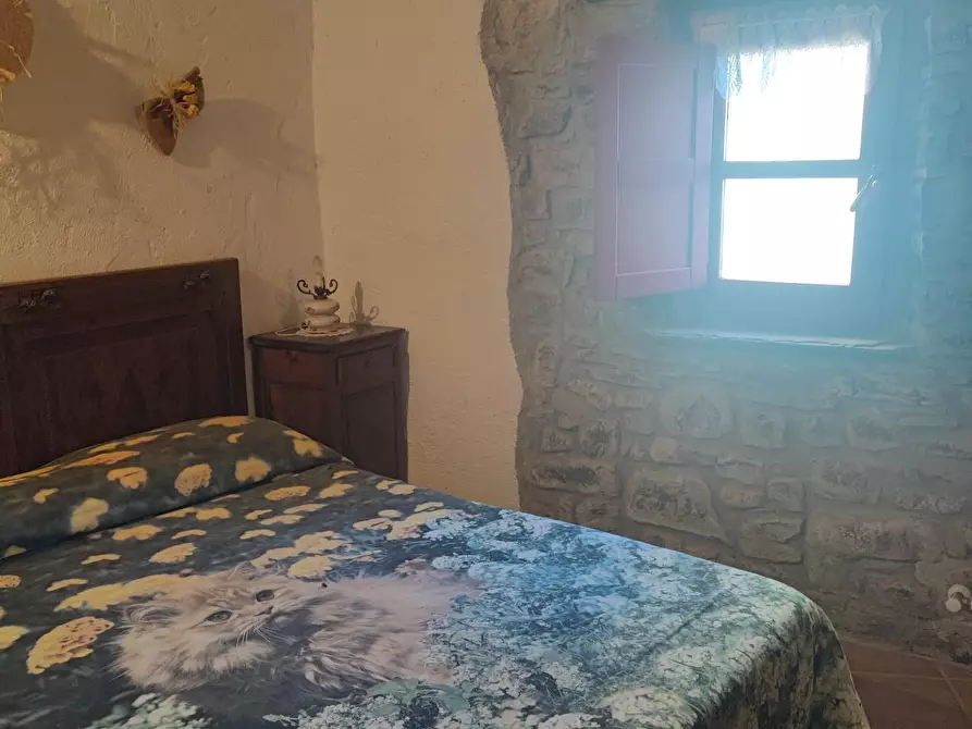 Immagine 64 di Azienda agricola in vendita  a Pontremoli