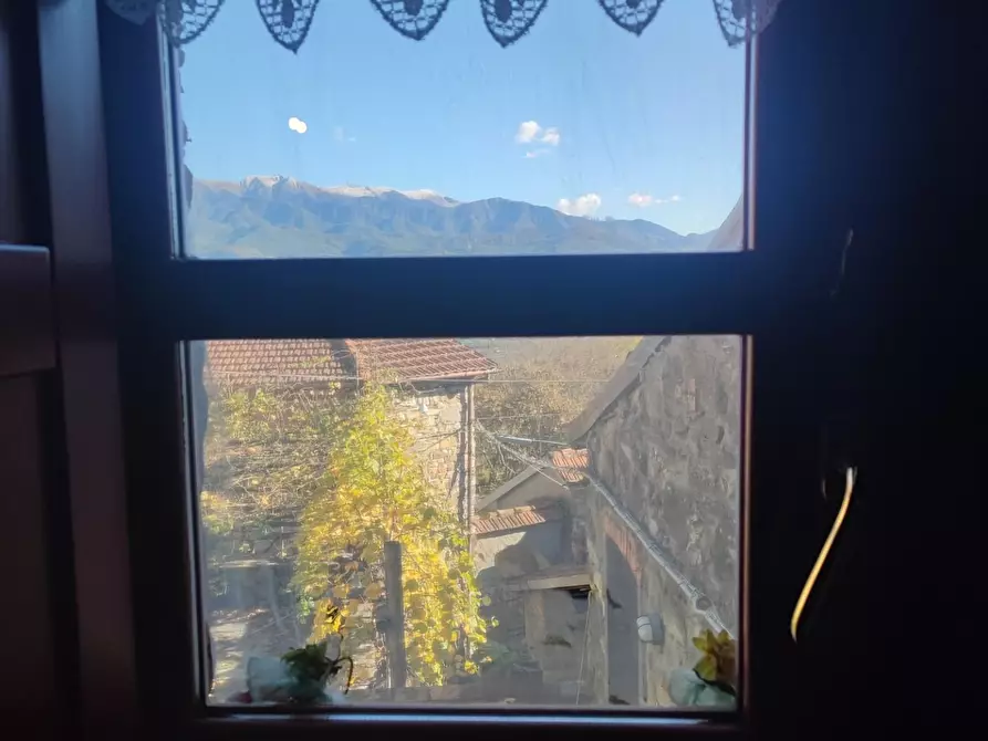 Immagine 67 di Azienda agricola in vendita  a Pontremoli