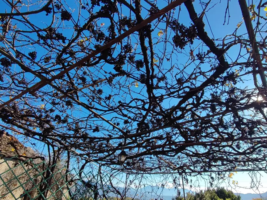 Immagine 48 di Azienda agricola in vendita  a Pontremoli