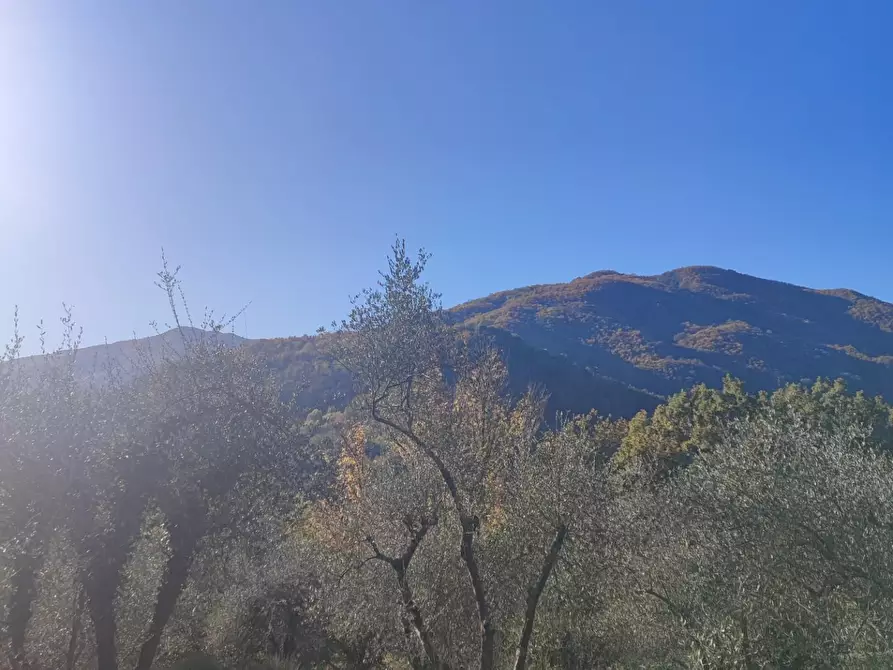 Immagine 12 di Azienda agricola in vendita  a Pontremoli