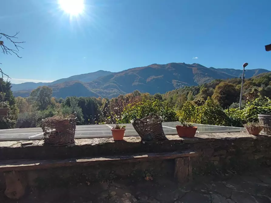 Immagine 45 di Azienda agricola in vendita  a Pontremoli