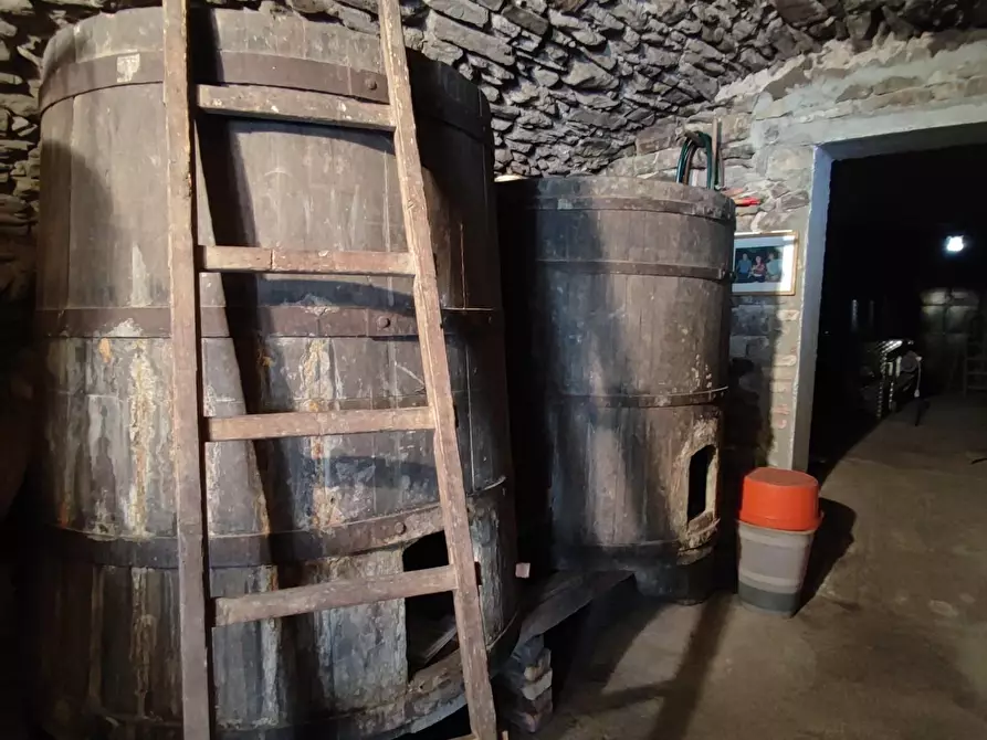 Immagine 26 di Azienda agricola in vendita  a Pontremoli