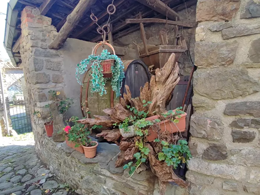 Immagine 22 di Azienda agricola in vendita  a Pontremoli