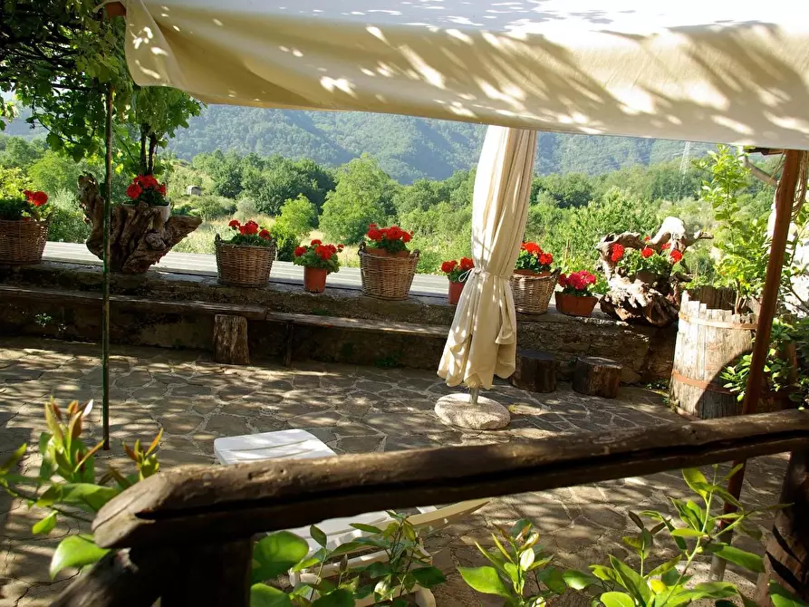 Immagine 2 di Azienda agricola in vendita  a Pontremoli