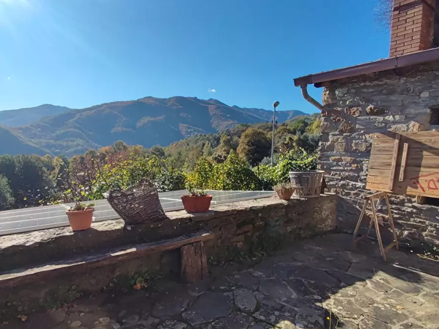 Immagine 46 di Azienda agricola in vendita  a Pontremoli