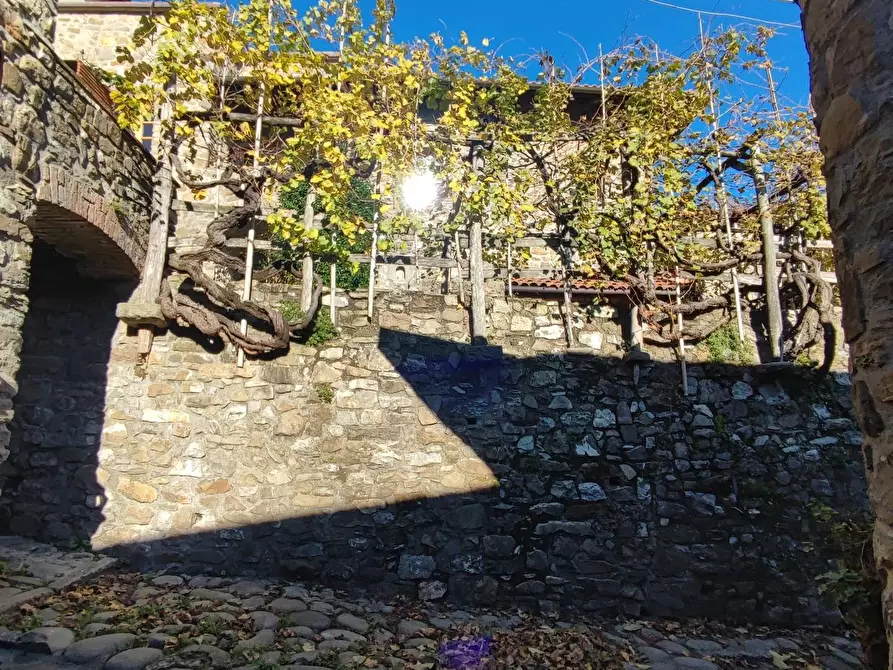 Immagine 44 di Azienda agricola in vendita  a Pontremoli