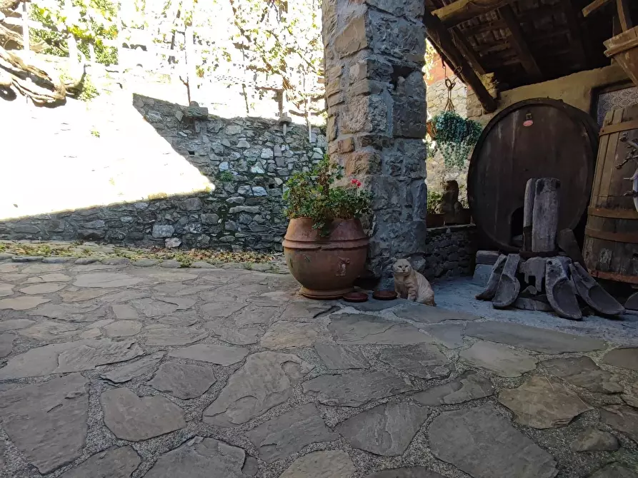 Immagine 55 di Azienda agricola in vendita  a Pontremoli