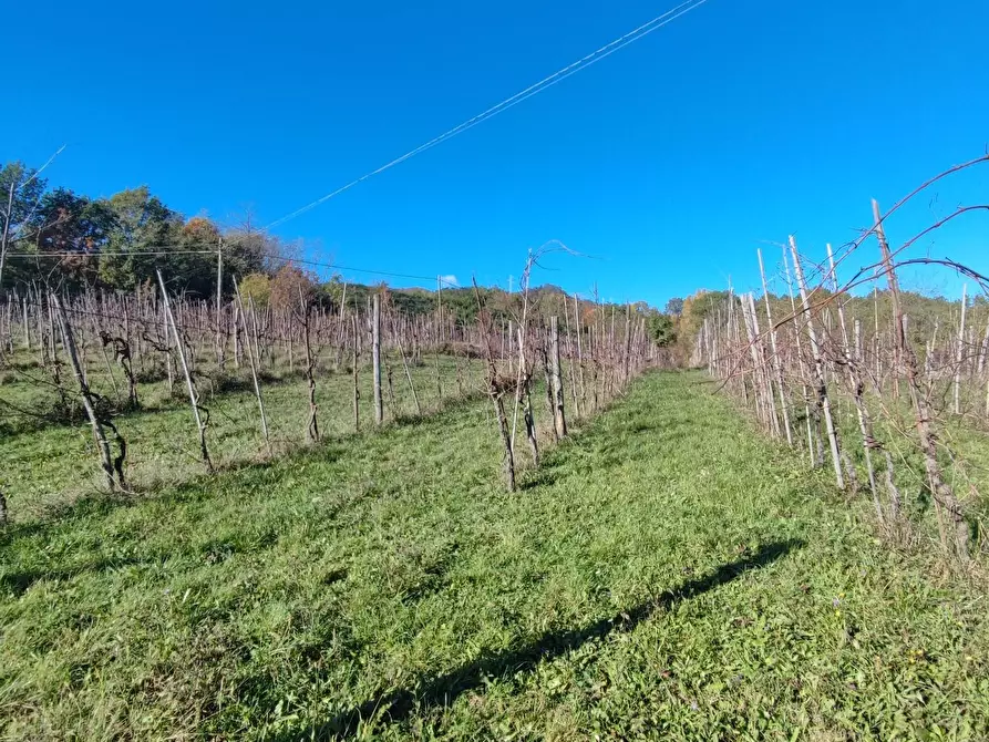 Immagine 19 di Azienda agricola in vendita  a Pontremoli