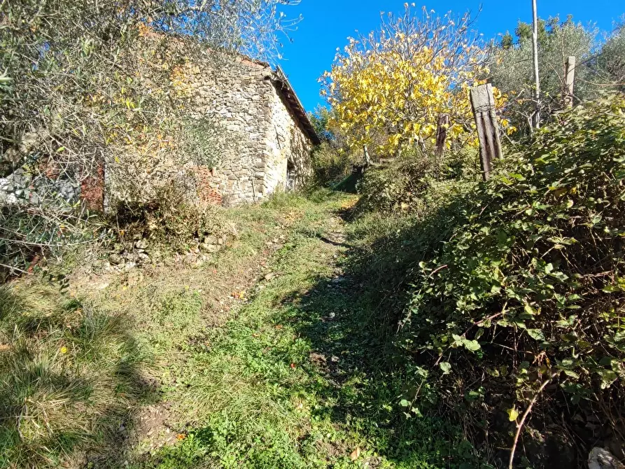 Immagine 18 di Azienda agricola in vendita  a Pontremoli