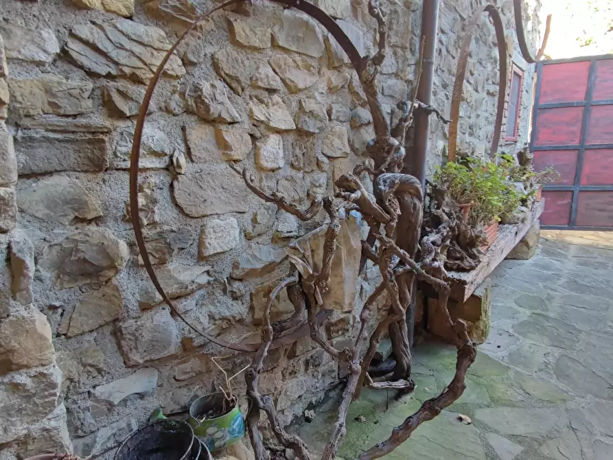 Immagine 54 di Azienda agricola in vendita  a Pontremoli