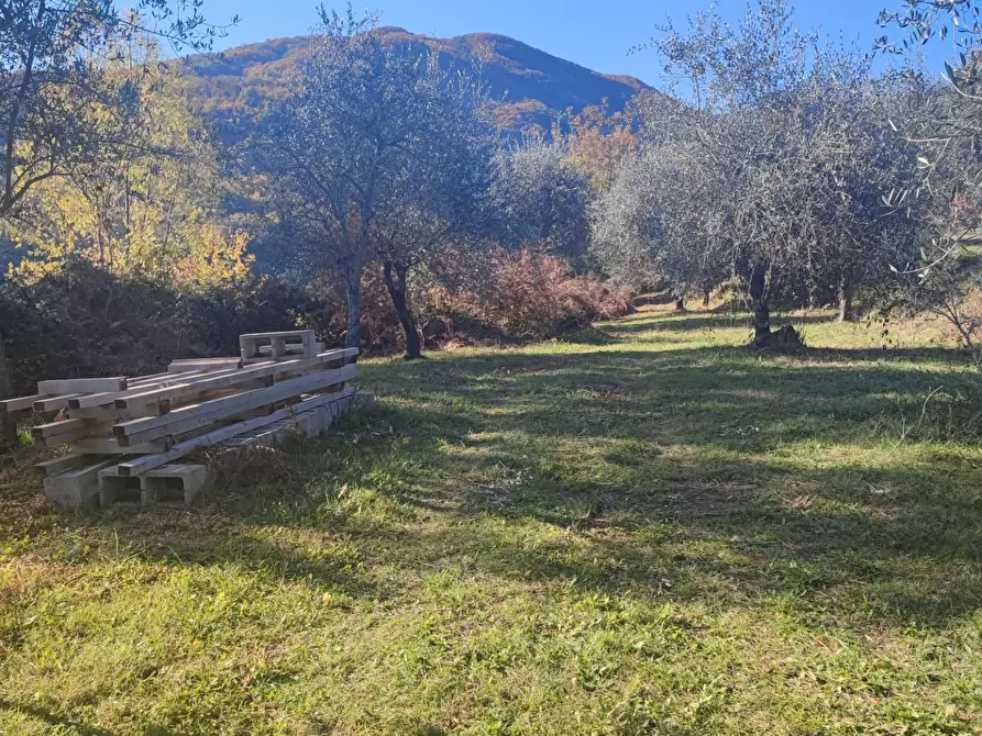 Immagine 4 di Azienda agricola in vendita  a Pontremoli