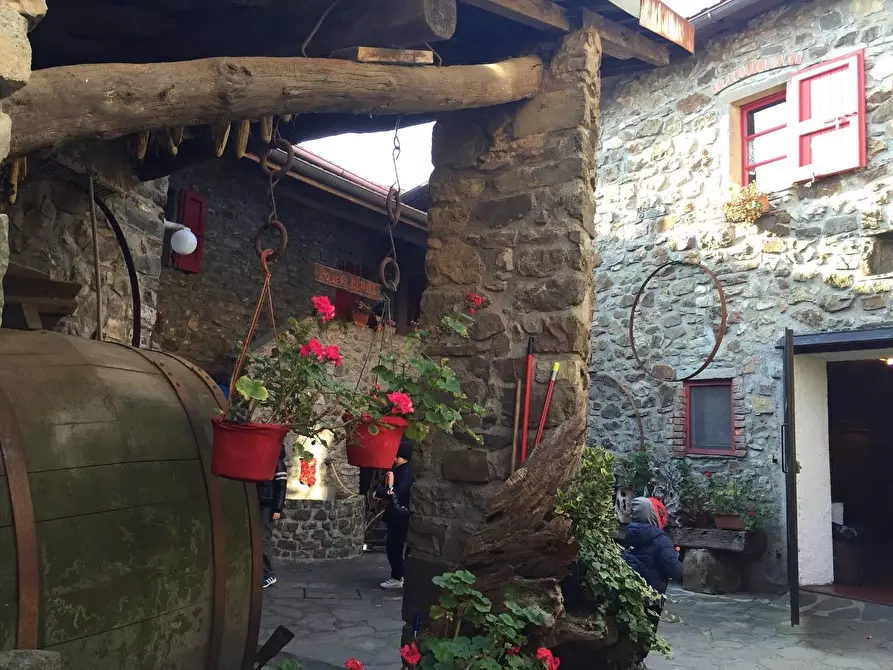 Immagine 73 di Azienda agricola in vendita  a Pontremoli